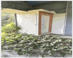  2024Ÿ4758 泲 ֽ   167      (1)