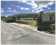  2024Ÿ4758 泲 ֽ   167      (1)