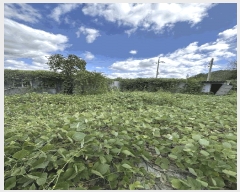  2024Ÿ4758 泲 ֽ   167      (1)