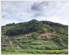  2024Ÿ��5201 �泲 ���ֽ� ��õ�� �Ȱ��� ��194-6      ����(�Ӿ�)���