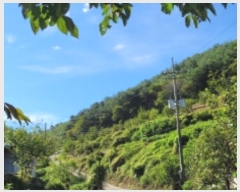  2024Ÿ��5201 �泲 ���ֽ� ��õ�� �Ȱ��� ��194-6      ����(�Ӿ�)���