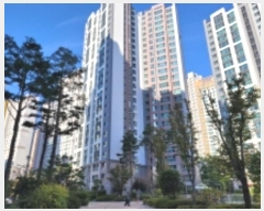  2024Ÿ5485 泲 ֽ  61, 104 252504ȣ (湫,ŵôĳƮ)    Ʈ