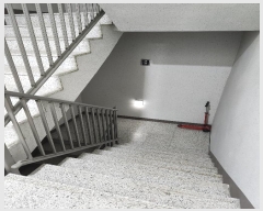  2024Ÿ5485 泲 ֽ  61, 104 252504ȣ (湫,ŵôĳƮ)    Ʈ