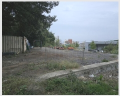  2024Ÿ��5539 �泲 ��õ�� �糲�� ������ 41-6      ����(����)���