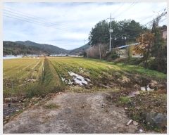  2024Ÿ��6204  ����