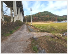  2024Ÿ��6204  ����