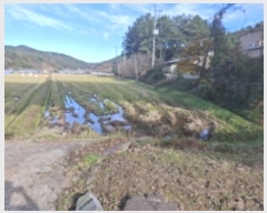  2024Ÿ��6204  ����