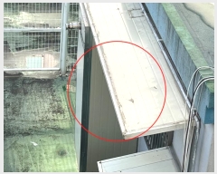  2024Ÿ��6242 �泲 ���ֽ� ��ŵ� 298-2       �ٰ������ð��