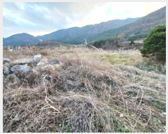  2024Ÿ6297 泲 û ܼ  274      ()