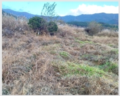  2024Ÿ6297 泲 û ܼ  274      ()