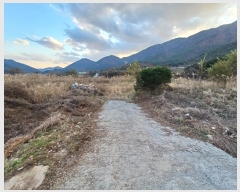  2024Ÿ6297 泲 û ܼ  274      ()