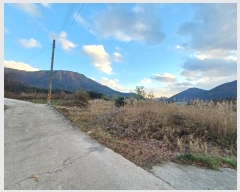  2024Ÿ6297 泲 û ܼ  274      ()