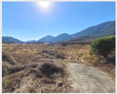  2024Ÿ6297 泲 û ܼ  274      ()