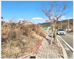  2024Ÿ6365 泲 ֽ  긮 205-8      (Ӿ)