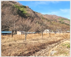  2024Ÿ6365 泲 ֽ  긮 205-8      (Ӿ)