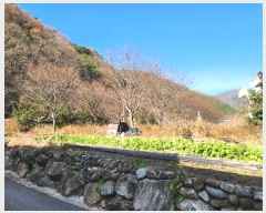  2024Ÿ6365 泲 ֽ  긮 205-8      (Ӿ)