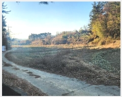  2024Ÿ6617 泲 ر õ  770      ()