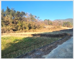  2024Ÿ6617 泲 ر õ  770      ()