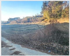  2024Ÿ6617 泲 ر õ  770      ()