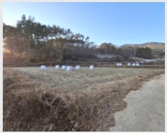  2024Ÿ6617 泲 ر õ  770      ()