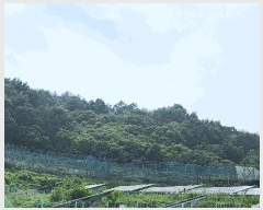  2024Ÿ��31057  �Ӿ߰��