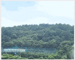  2024Ÿ��31057  �Ӿ߰��