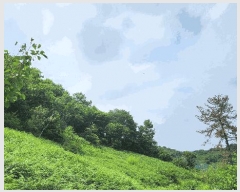  2024Ÿ��31057  �Ӿ߰��