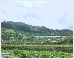  2024Ÿ��31057  �Ӿ߰��