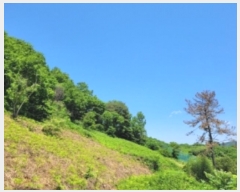  2024Ÿ��31057  �Ӿ߰��