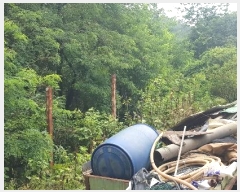  2024Ÿ��35073 �泲 ��õ�� ���� �ƻ縮 1-1      ����(��1)���