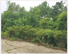  2024Ÿ��35073 �泲 ��õ�� ���� �ƻ縮 1-1      ����(��1)���