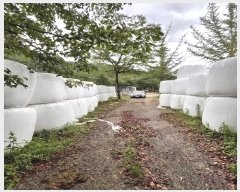  2024Ÿ��35240  ���ð��