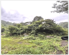  2024Ÿ��35240  ���ð��