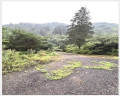  2024Ÿ��35240  ���ð��