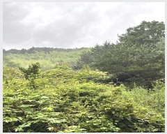  2024Ÿ��35240  ���ð��