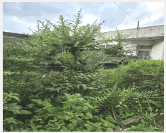  2024Ÿ��35905  ���ð��