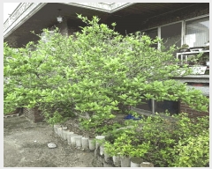  2024Ÿ��35905  ���ð��