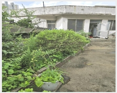  2024Ÿ��35905  ���ð��