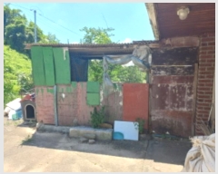  2024Ÿ��35905  ���ð��