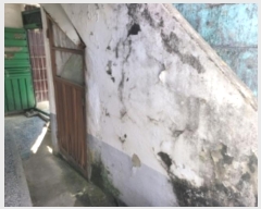  2024Ÿ36281 泲 ֽ  131-5       ð