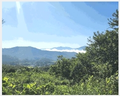  2024Ÿ��36823  �Ӿ߰��