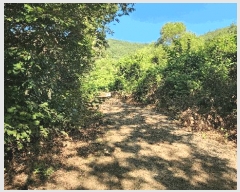  2024Ÿ��36823  �Ӿ߰��