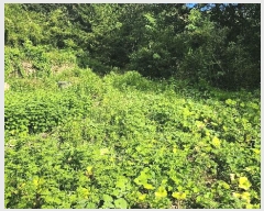  2024Ÿ��36823  �Ӿ߰��