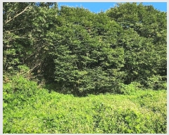  2024Ÿ��36823  �Ӿ߰��