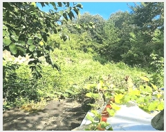  2024Ÿ��36823  �Ӿ߰��