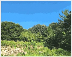  2024Ÿ��36823  �Ӿ߰��