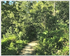  2024Ÿ��36823  �Ӿ߰��