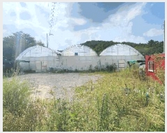  2024Ÿ��37079  ����