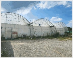  2024Ÿ��37079  ����