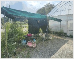  2024Ÿ��37079  ����